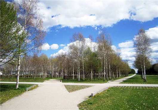 德國市場高技術人才緊缺，政策隨之發生變化