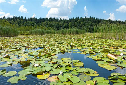 歐洲難民為何會(huì)如此青睞德國哪？原因在這（上）