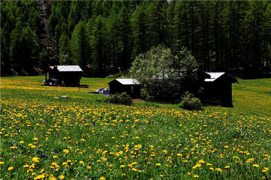 科隆前校長發(fā)表講話（上）