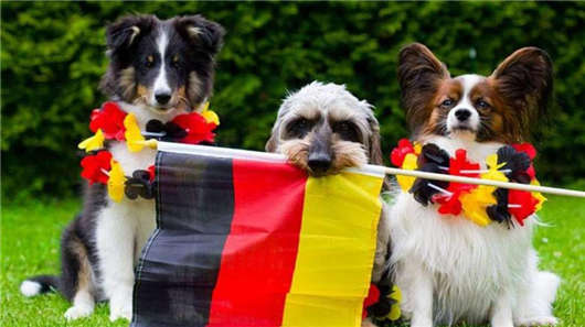 移民方式介紹 移民方式介紹