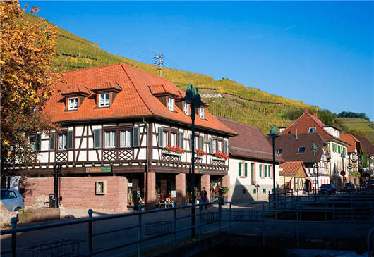 移民首要條件，你都知道嗎？