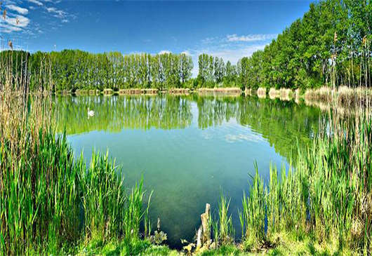 經濟是基于什么發展過來的