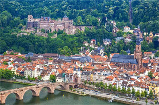 德國CDU漢堡介紹了公民選舉，每間公寓一棵樹