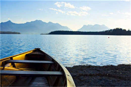 德國櫻花季節的魅力 德國櫻花季節的魅力