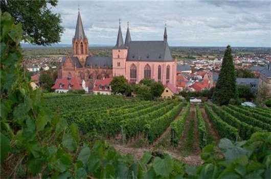 入籍優(yōu)劣對(duì)比，您一定要了解一下！