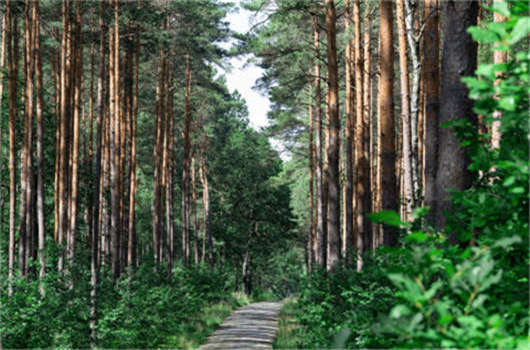 獲取德國求職者簽證要求介紹 獲取德國求職者簽證要求介紹