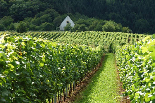 德國企業稅收您有必要了解一下！