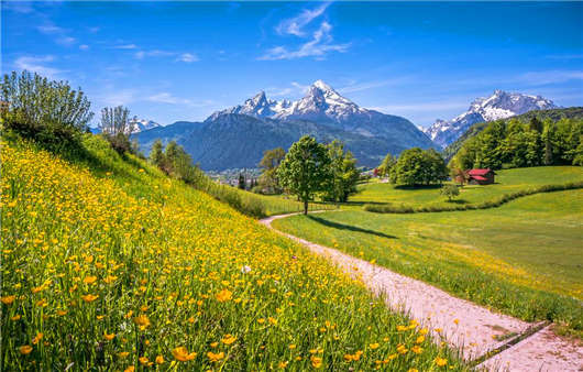 2020年3月1日新德國移民政策開始實行，什么專業最受歡迎那？