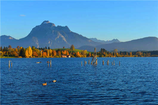 為什么越來越多的人開始喜歡去德國留學？