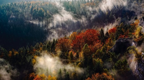 1635581880125489.jpg 圖片1.jpg