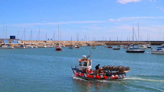 1649145499144457.jpg 1.jpg