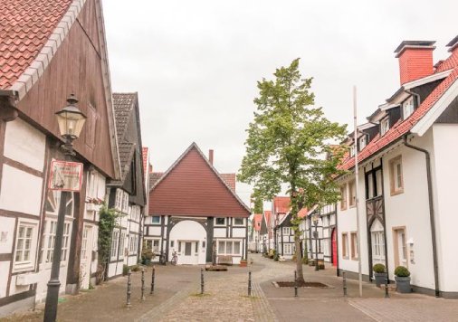 1651130323404842.jpg 1 (1).jpg